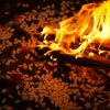 Capturing the vibrant flames of a Hindu ritual fire surrounded by uncooked rice grains and offerings.