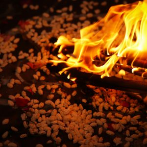 Capturing the vibrant flames of a Hindu ritual fire surrounded by uncooked rice grains and offerings.